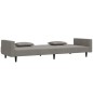 vidaXL Sofá cama de 2 plazas con dos almohadas terciopelo gris claro vidaXL Sofá cama de 2 plazas con dos almohadas terciopelo gris claro