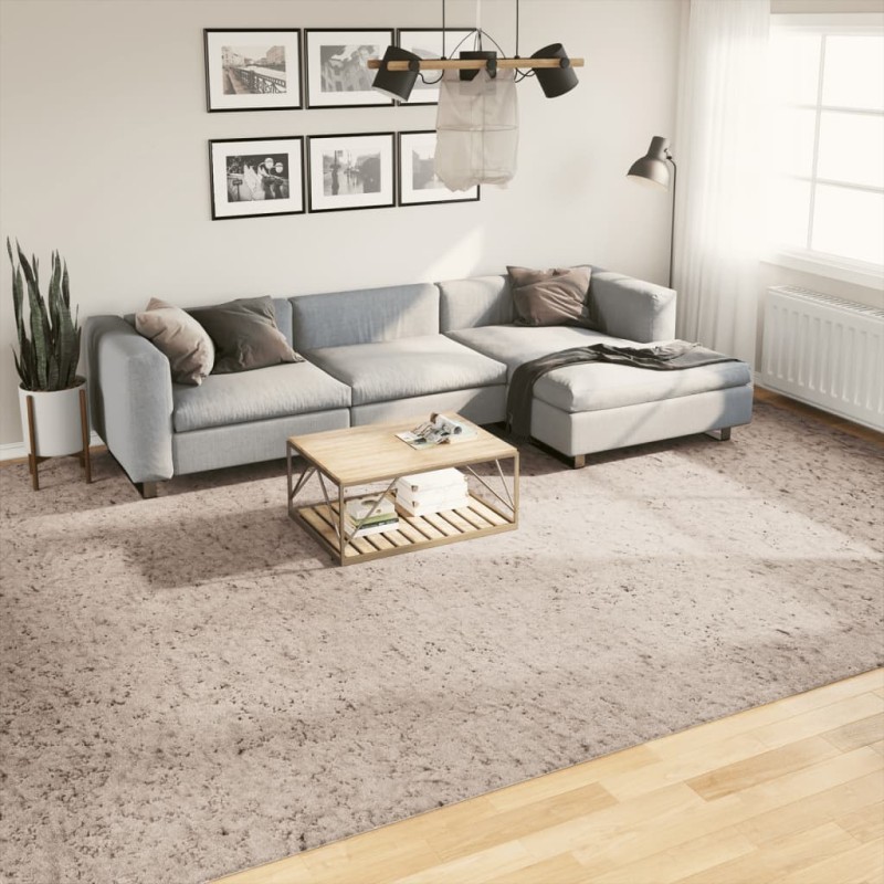 vidaXL Alfombra de pelo largo moderna beige 300x400 cm vidaXL Alfombra de pelo largo moderna beige 300x400 cm